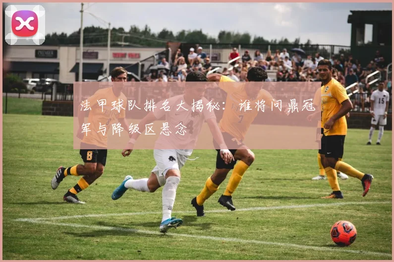法甲球队排名大揭秘：谁将问鼎冠军与降级区悬念